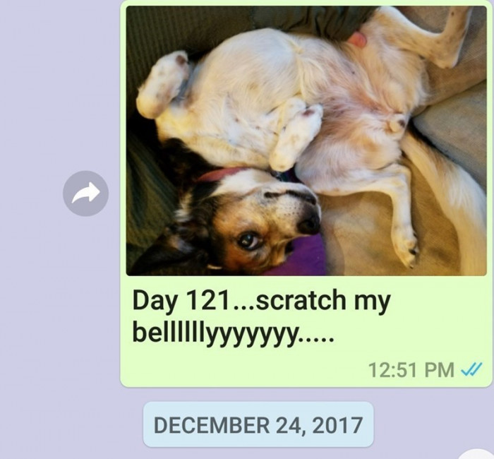 Day 121.
