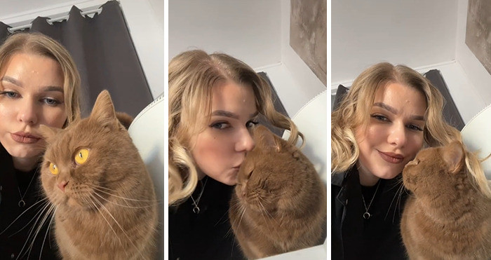 This cat is so cute!