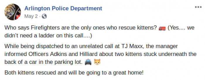 Officer of the year gently holds kittens, showing calm, caring affection.