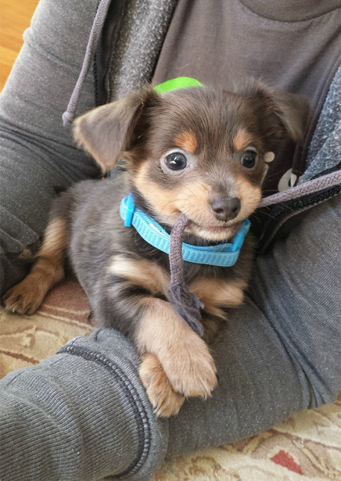 #23 Ohmyyy, his name is Charlie!