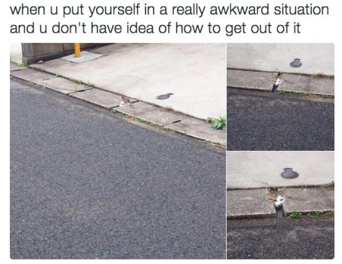 9. This is rock bottom