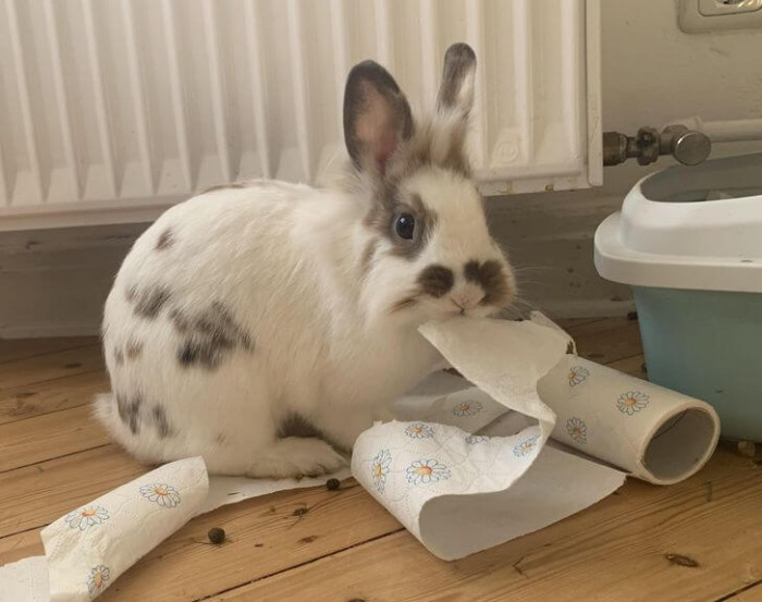 12. That's not lettuce, sweetie.