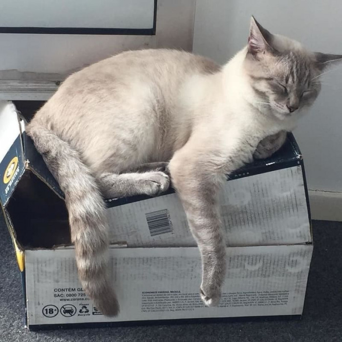 3. I'm not a hoarder, but...