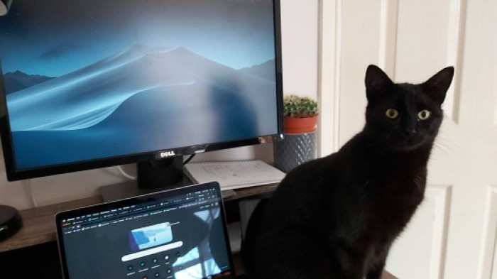 5. This is Andy’s assistant, Hoshi