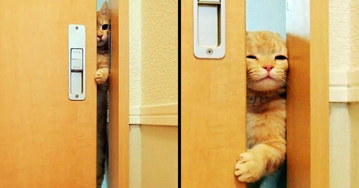 8. "Just checking if you're there."