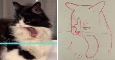 17 Hilarious Illustrations of Cats and Dogs Captured with TikTok's Time Warp Scan Filter