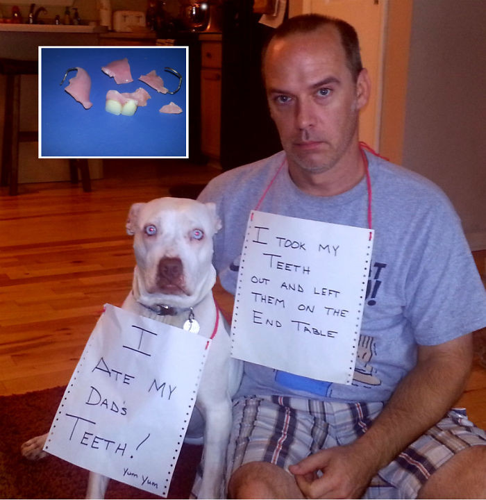 16. "Husband/Dog Shaming Photo! Dog Ate Husband's Teeth!!"