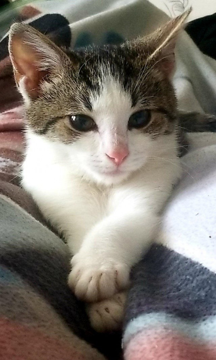 5. So little and so perfect.