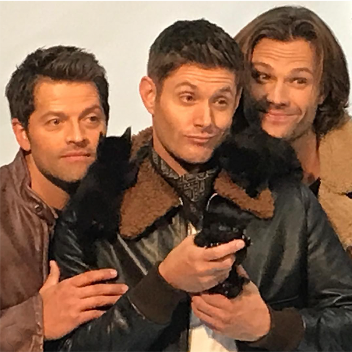 Interestingly, Sammy Meowington is named after Sam, a character from the TV series Supernatural.