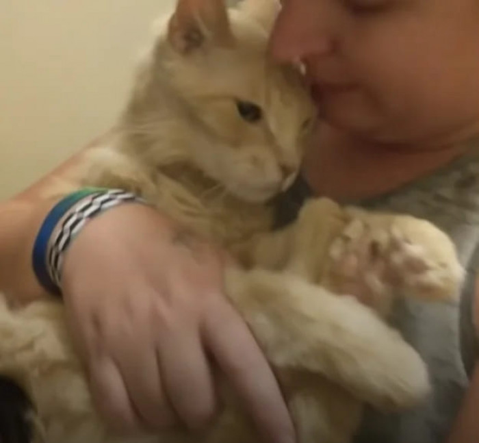 Jaina said that as the cat healed, he quickly bonded with his dedicated rescuers, too:
