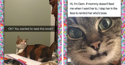 We Love Cats Even Though They Can Be Total Jerks, And These Cats Are No Different