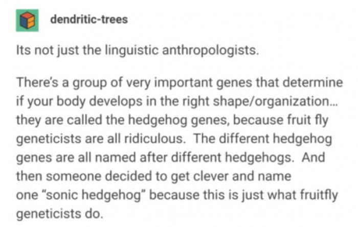 3. If I were a scientist, I would do that too. NGL!