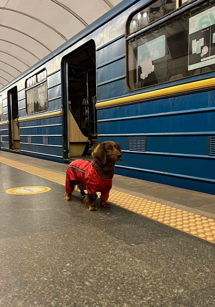 #18 Stand there, buddy, and let me take a picture of you