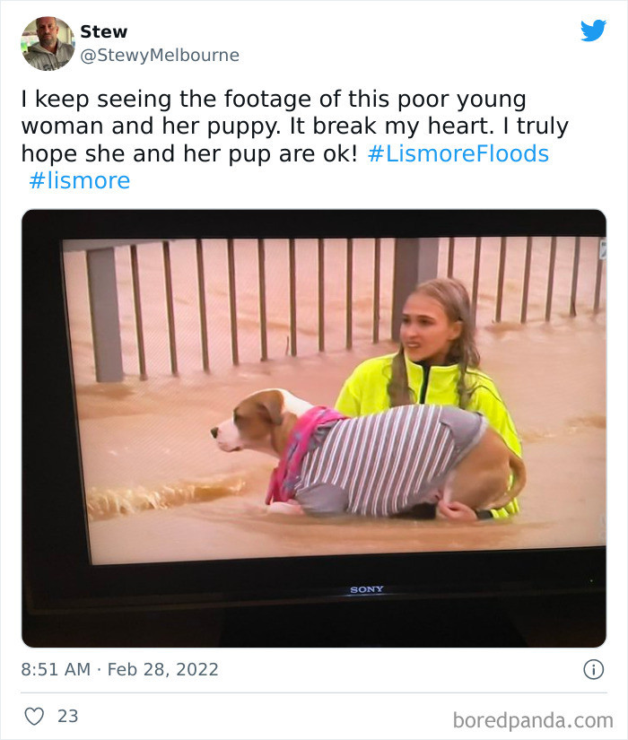 13. Hoping this girl and her pup were rescued.