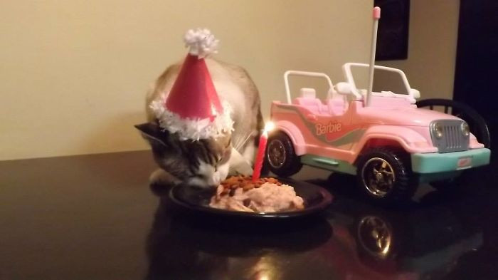 42. Beep Beep, Eating Cake Next To Your Birthday Jeep