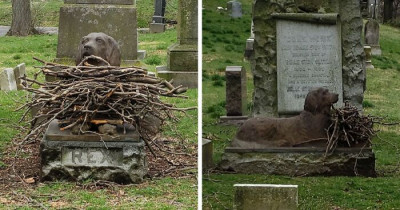 Lucky Dog Receives Sticks As Tributes To His Grave Site 100 Years Later