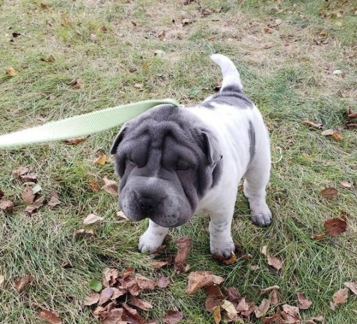 Wrinkles are sometimes the best thing ever!