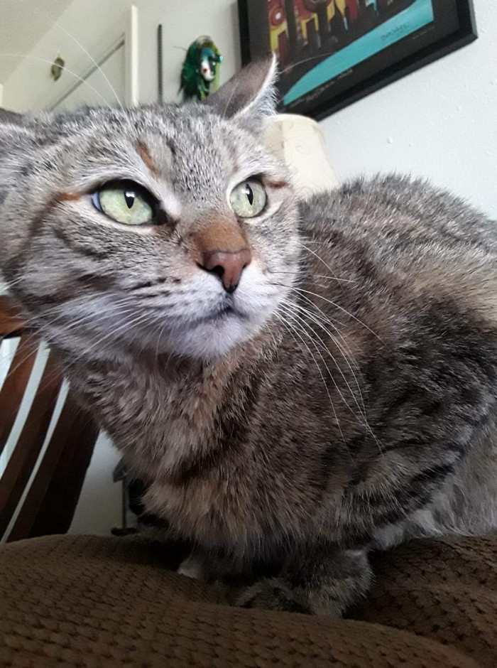 "My Bonnie girl had the prettiest eyes I've ever seen!❤"