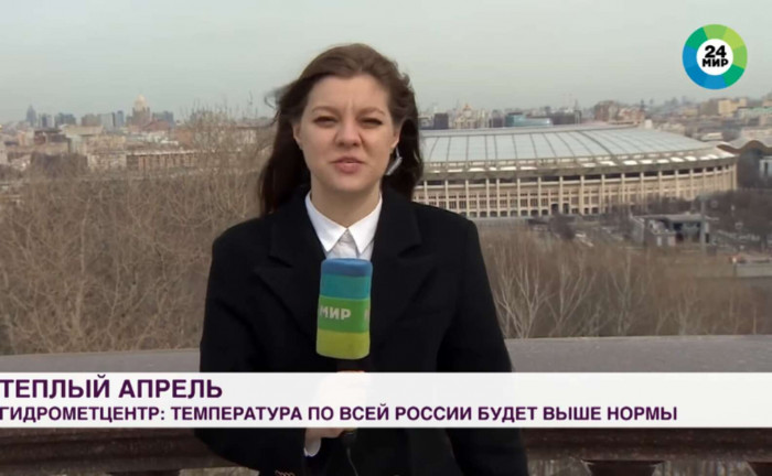 Mischievous puppy grabs a reporter’s microphone during a live broadcast segment