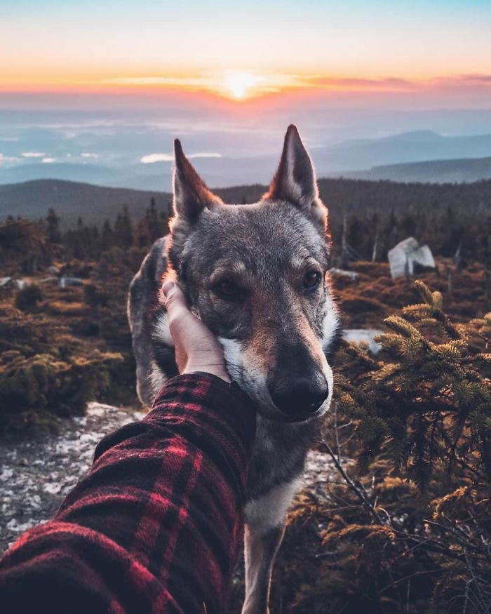 Czech Photographer Takes Photos Petting His Dog And They Are Anything ...