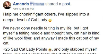 The Latest Trend Among Cat People Will Leave You Laughing