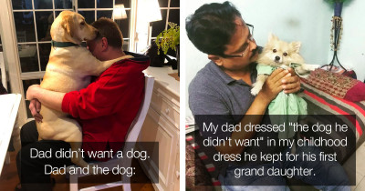 Dogs Change The Hearts And Minds Of Dads Who Hated The Idea Of Getting a Dog