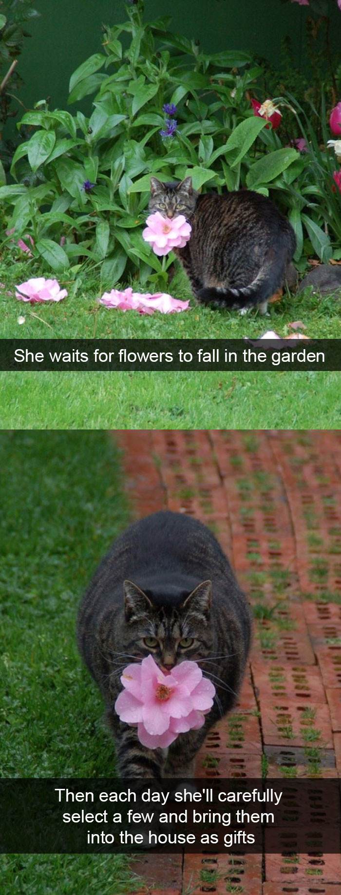 The Garden Princess!