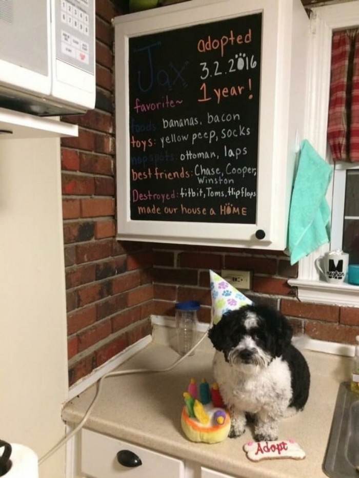 10. They gave him his own adoptiversary board