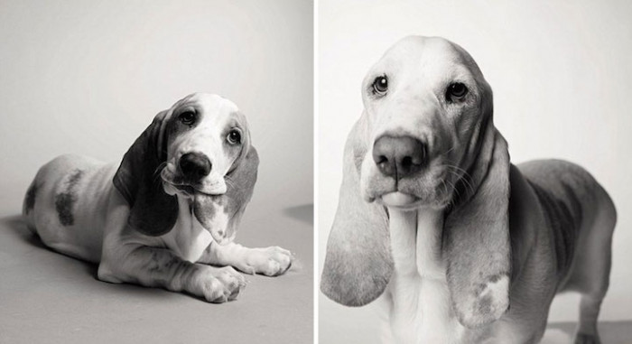 4. Poppy, 1 year and 7 years.