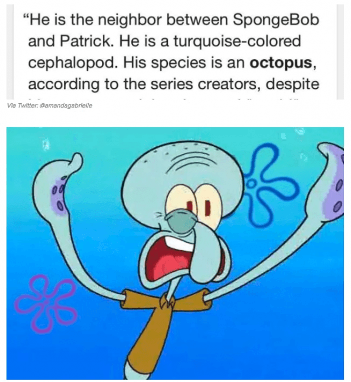 5. Now you know what Squidward really is