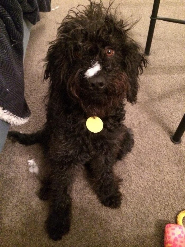 Bright-eyed and bushy-tailed.