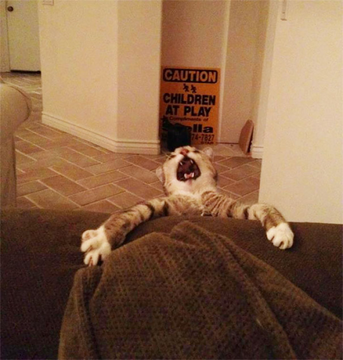 10. "Somebody, helpppppp!"