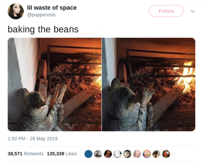Is there anything better than toasty toe beans?