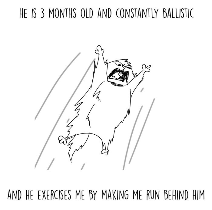2. Kitty Exercises