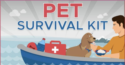 Pooching Around's Infographic Will Teach You Everything You Need To Know About A Pet Survival Kit
