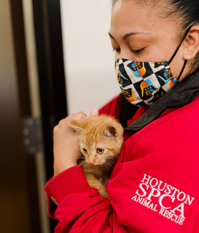 She Even Found a Forever Home