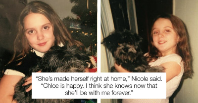 Woman Adopts Senior Dog from Shelter and Discovers It Is Her Childhood Puppy