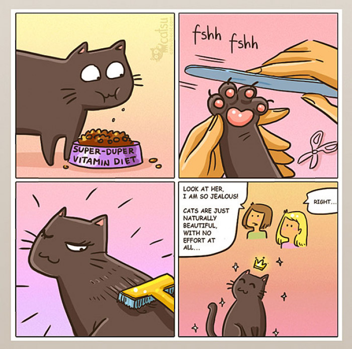 Seriously Relatable Cat Comics You're Definitely Going To ...