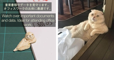 Japanese Artist Transforms Amusing Animal Moments Into Figurines, And They Are Extremely Funny