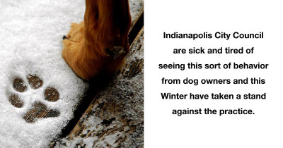 Indianapolis Residents Warned Of Fines For Leaving Pets Outside In The Cold
