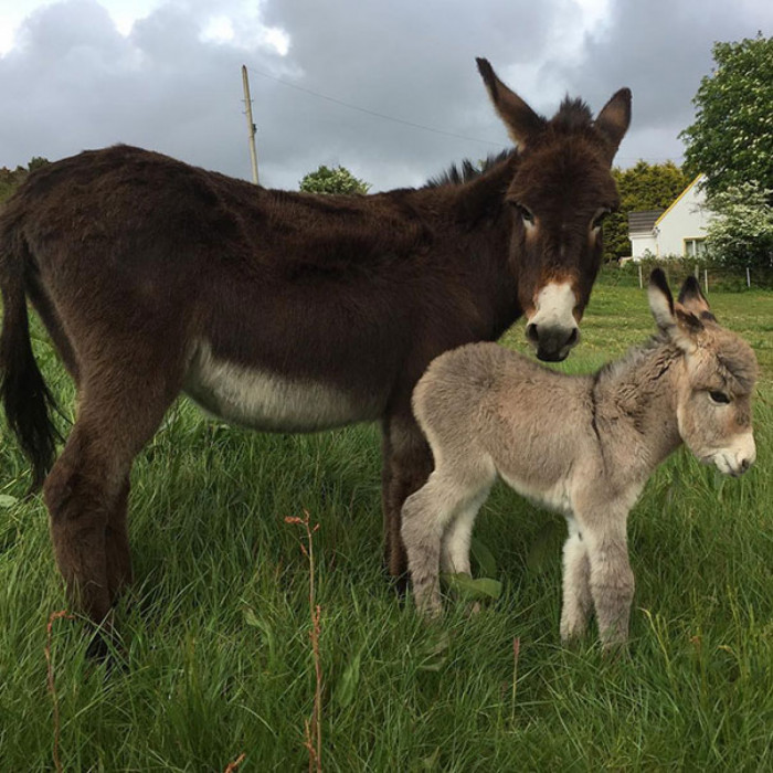 This little lady is only 2 days old!!