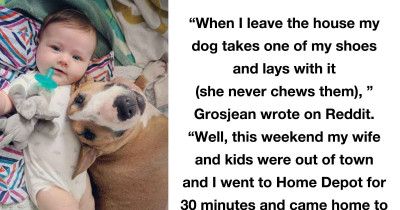 Family's Dog Hoards Shoes When She Gets Lonely and Breaks Hearts