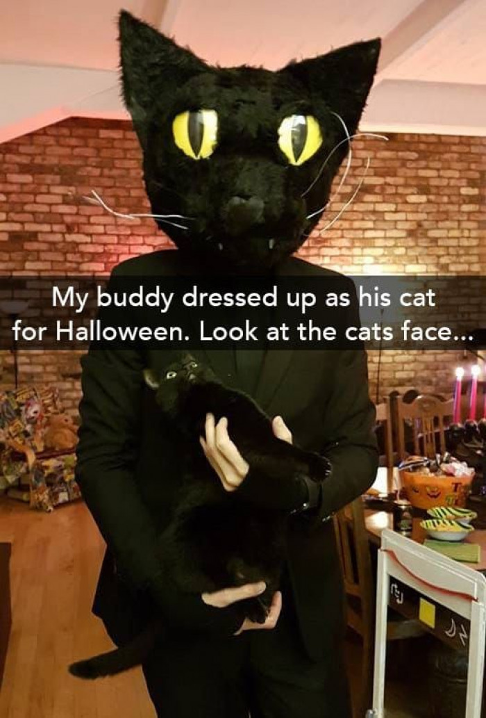 18. The Poor Cat is Scarred for Life