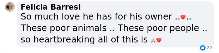 People also enjoyed this silver lining among all the other depressing news out there