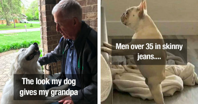 Wholesome Dogs Are Everything You Need in Life Right Now