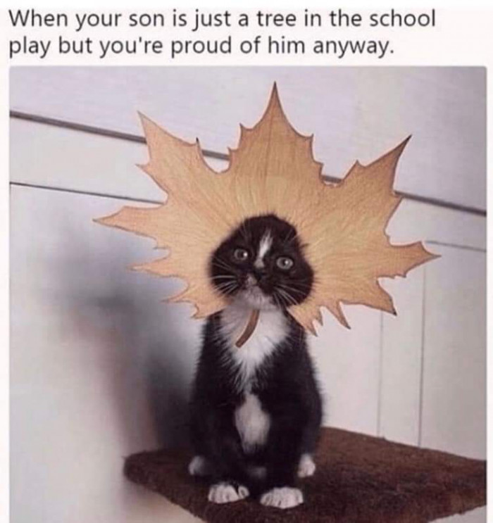 So Proud, Baby!