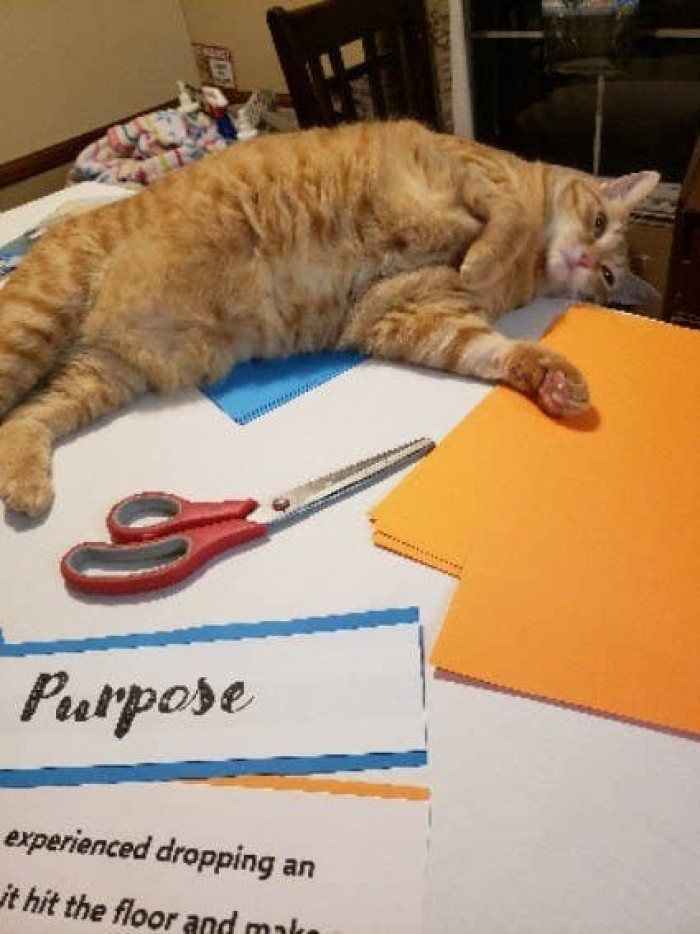11. Stop doing activities on my table