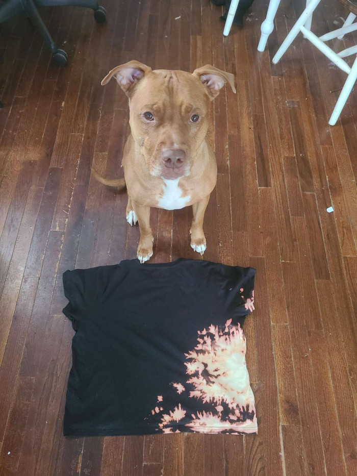 Apollo with His Work of Art