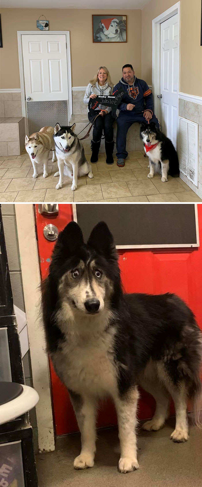 31. "Jubilee Got Adopted!!!"