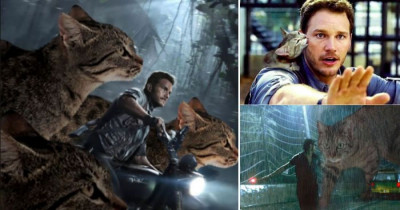 Purrassic Park: Photos of Cats In Place of Dinosaurs Are The Greatest On The Internet